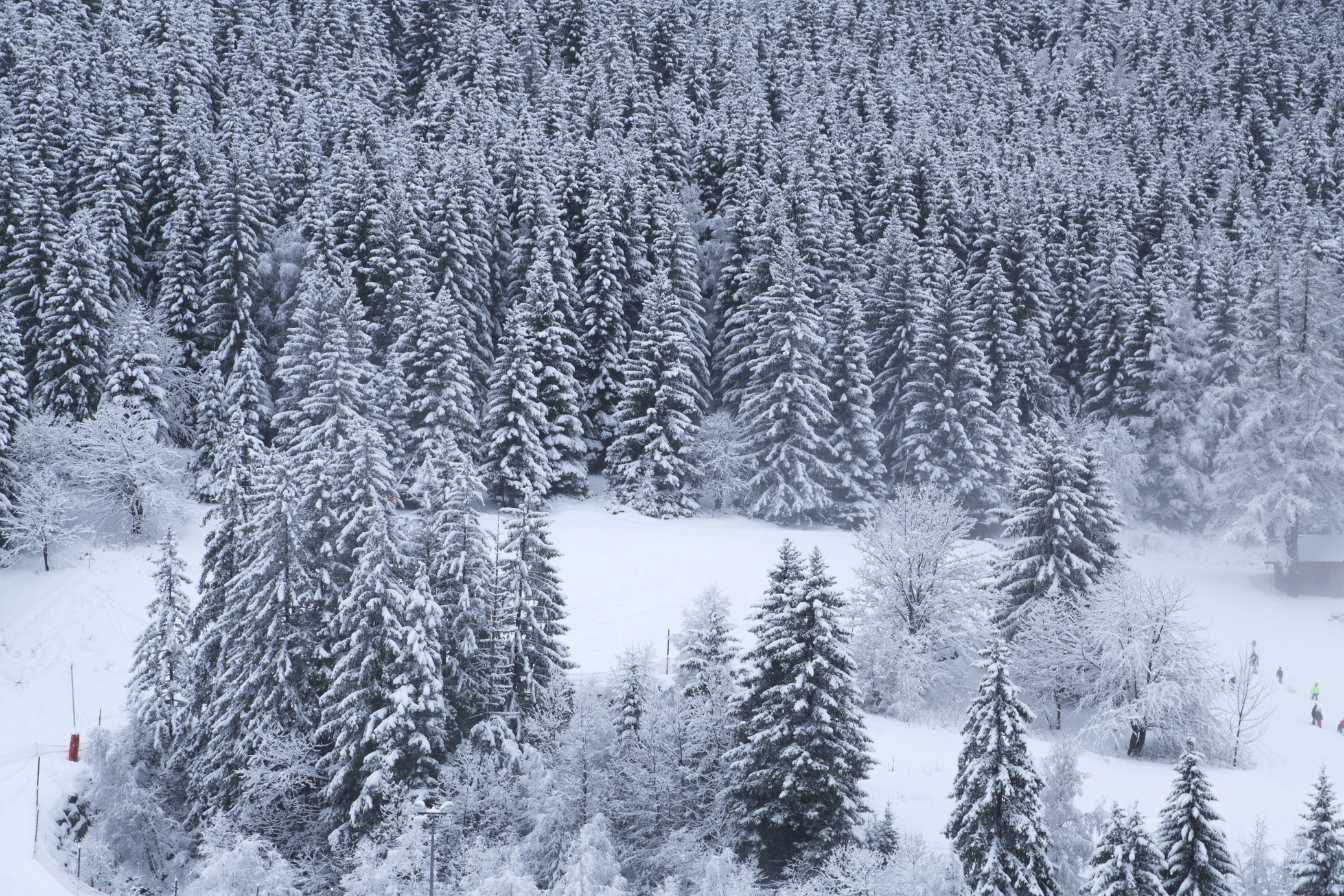chalet-luxe-alpes-le-collectionist-guide-complet-pour-un-sejour-d-exception-3