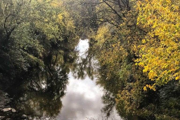 fleuve france 1